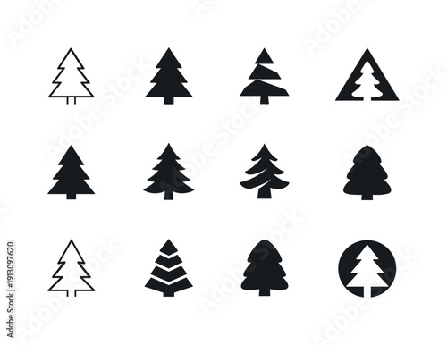 Spruce Logo Variations. Spruce. Icon set. Set Logo of Spruce: classic spruce tree silhouette. harmonious logo variations of the same emblematic concept, each