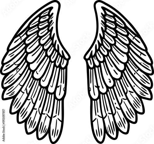 Detailed black and white angel wings illustration feathered bird wings with intricate line art design and feather texture