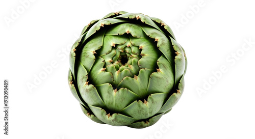 High-resolution artichoke vegetable image isolated on transparent background