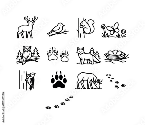 Aspen Wildlife Icons. Aspen Wildlife. Line icon set of Aspen Wildlife: deer silhouette, bird on branch, squirrel on tree, butterfly in grove, owl in forest,