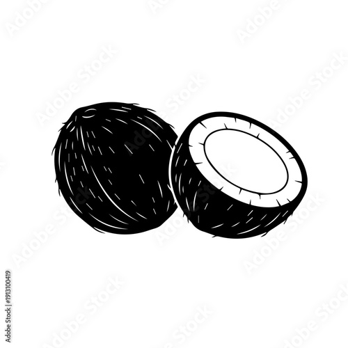 Simple illustration of two halves of a coconut with fibrous interior exposed