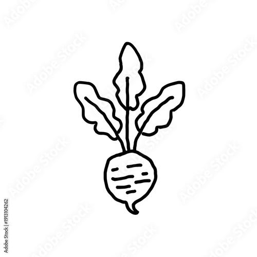 radish