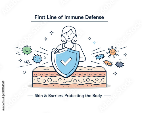 First line of immune defense. An educational scene illustrating skin and barriers as a protective shield, with abstract germs kept outside