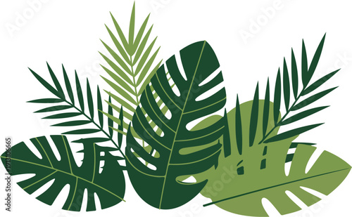 Tropical Palm Leaf Icon Set  Jungle Plant Vector Illustration