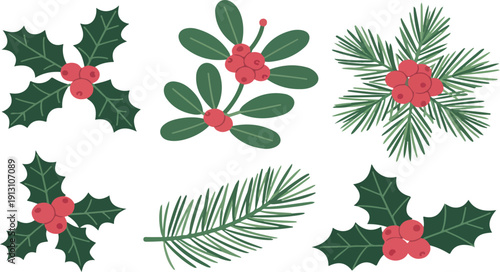 Christmas Holly Berry Icon Set  Holiday Plant Vector