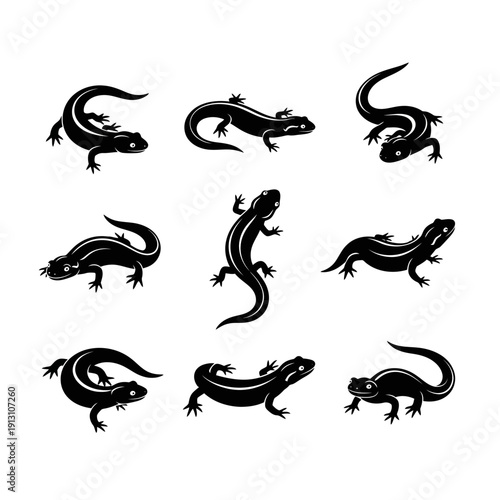 Collection of Black Lizard Silhouettes.