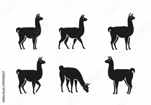 Set of Six Black Llama Silhouettes on White Background.
