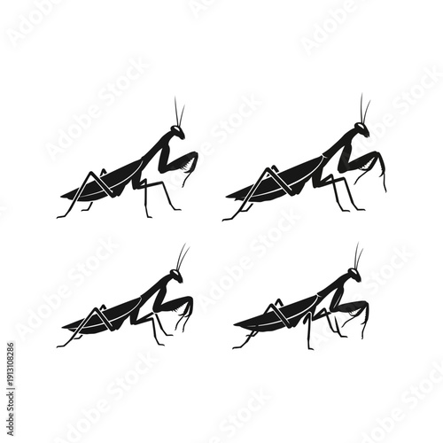 Four Black Praying Mantis Silhouettes on White Background.