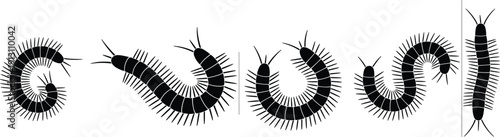 Black vector silhouette set of crawling centipedes featuring various curved poses and segmented bodies for entomology research pest control services and nature education branding,