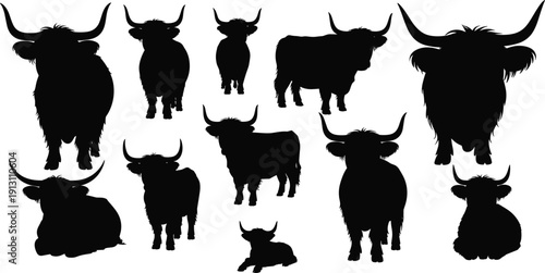 Black vector silhouette set of highland cattle featuring long horns and shaggy coats in various standing and sitting poses for farm and agriculture branding