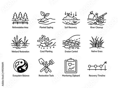    Ecosystem restoration. Line icon set of Ecosystem restoration: reforestation area, planted sapling, soil recovery, river cleanup, wetland