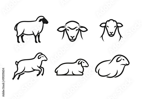 Set of Sheep Icons and Illustrations.