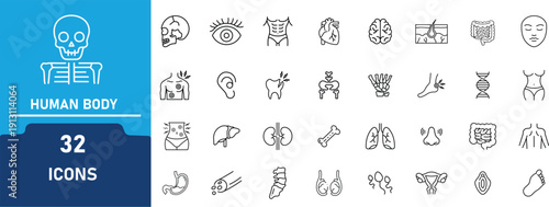 Human Anatomy & Body Parts Line Icon Set.Contains to related icons Medical Organs, Skeletal System, Healthcareand more .Vector Outline Collection