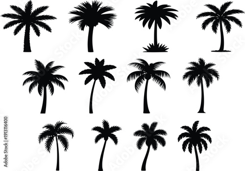 Palm tree silhouettes set, tropical coconut trees isolated on white background summer beach landscape nature illustration collection