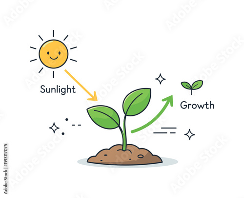 Plant energy conversion. A simple editorial scene with a plant, sun, and arrows indicating light absorption and growth, expressing clarity