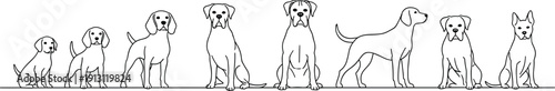 Cute dog breeds vector illustration, line art puppies and pets sitting standing in row, black white animal characters design