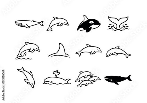 Marine Mammals Icons. Marine Mammals. Line icon set of Marine Mammals: blue whale, bottlenose dolphin, orca head, whale tail splash, dolphin leap, whale fin,