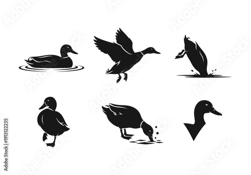 Set of Duck Silhouettes in Various Poses 1.
