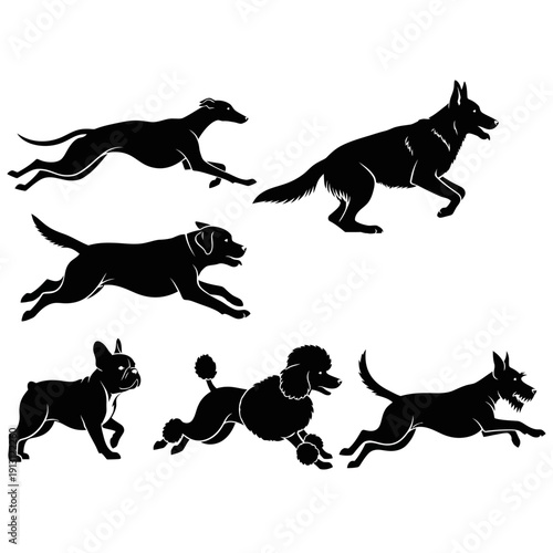Set of Dog Silhouettes in Motion.