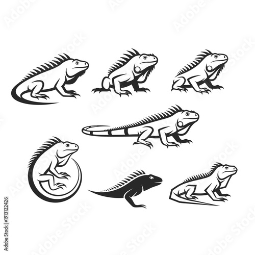 Set of Iguana Illustrations in Various Poses.