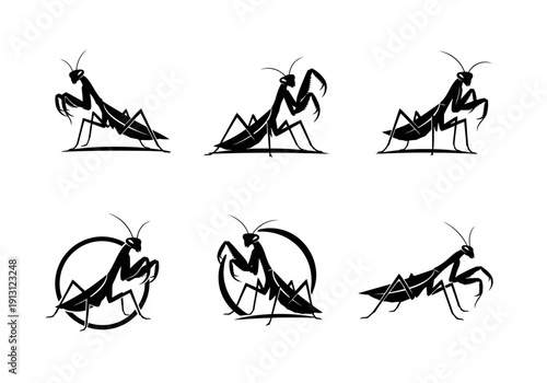 Set of Praying Mantis Silhouettes in Various Poses.