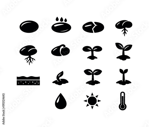 Germination Process. Solid icon set of Germination Process: dry seed, soaked seed, split seed coat, emerging root, root growth, shoot