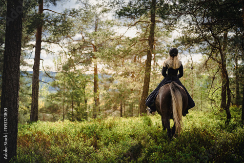 Girl on an arabian horse