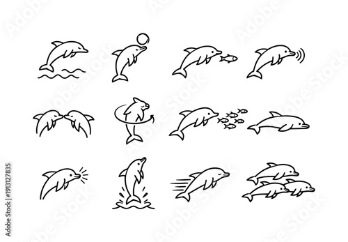 Dolphin behavior. Line icon set of Dolphin behavior: dolphin leaping, dolphin playing, dolphin hunting fish, dolphin echolocation waves,