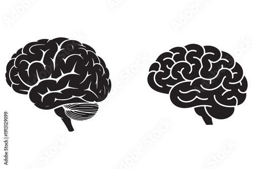 Black and white human brain vector medical knowledge concept
