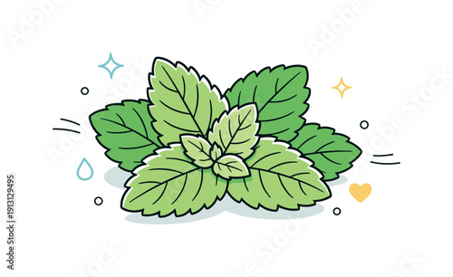    Mint leaves close up composition. Several mint leaves overlap slightly in a tidy, airy arrangement, highlighting organic shapes and softness.