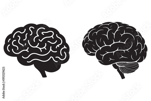 Black and white human brain vector medical knowledge concept

