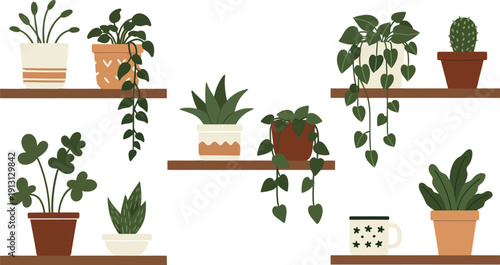 A set of indoor plants in wooden pots with green leaves and spring flowers creates a natural home garden illustration for interior room decoration and window frame design