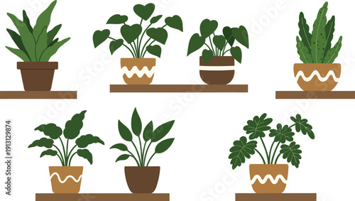 A small young green plant with fresh leaves grows in a flowerpot isolated on white, symbolizing botany growth and gardening life