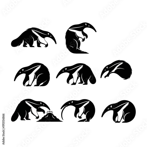Collection of Anteater Silhouettes in Various Poses.