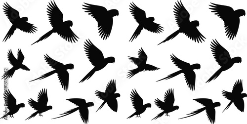 Black silhouettes of parrots in diverse flying positions, wings spread in multiple angles and orientations, perfect for bird flight study, wildlife design, and artistic illustration use