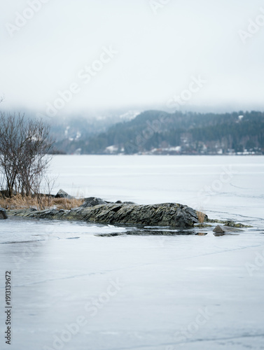 Winter by the Steinsfjorden lake