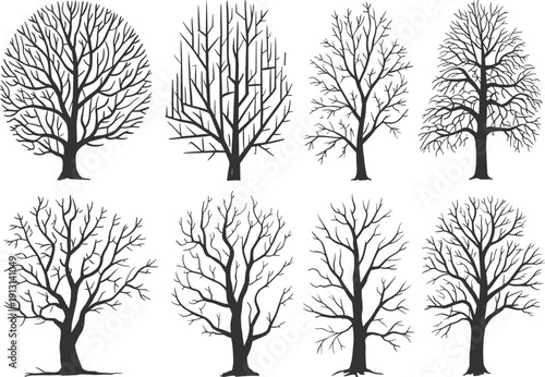 Black and white bare tree silhouettes set featuring various leafless winter trees with detailed branch structures isolated on a white background for landscape design.
