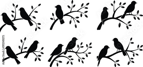 Black and white bird silhouettes set featuring various songbirds perched on leafy tree branches with minimalist nature design style isolated on white background