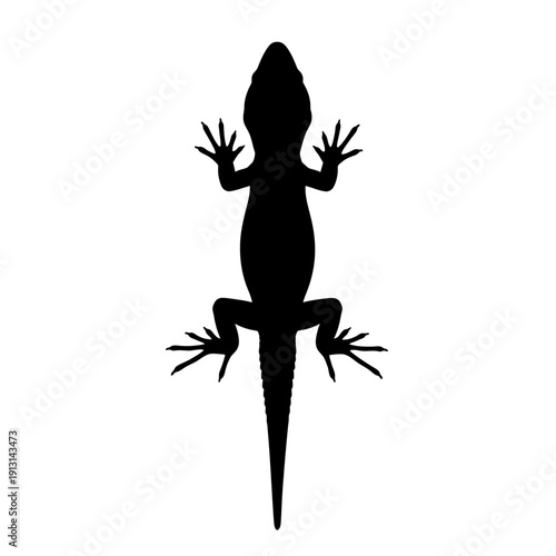 Black Silhouette of a Lizard on a White Background.