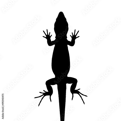 Black Silhouette of a Lizard from Above.