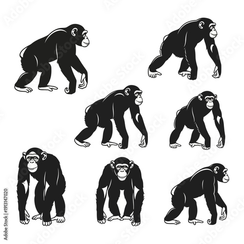 Set of Chimpanzee Silhouettes in Various Poses 1.