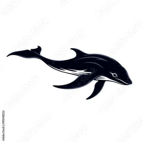 Orca Killer Whale Illustration.
