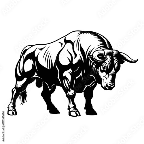 Powerful Muscular Bull Illustration.