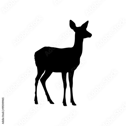 Silhouette of a graceful deer standing alert.