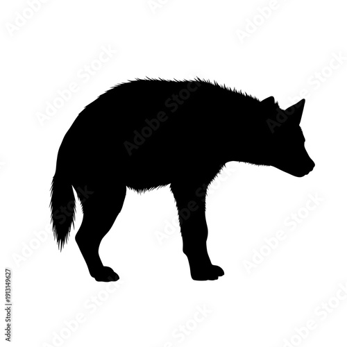 Silhouette of a hyena standing on a white background.