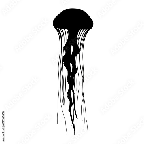 Silhouette of a Jellyfish with Long Tentacles.