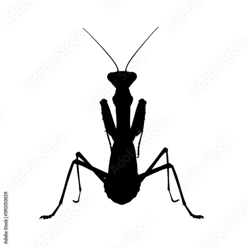 Silhouette of a Praying Mantis Insect 1.