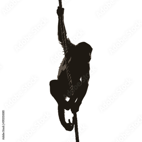 Silhouette of a monkey climbing a rope.