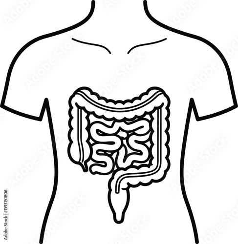 Simple black and white line art illustration depicting the human digestive system focused specifically on the large and small intestines