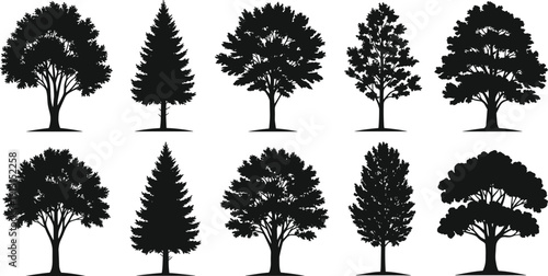 Realistic tree silhouette collection, detailed forest elements set, natural woodland vector illustration isolated on white background